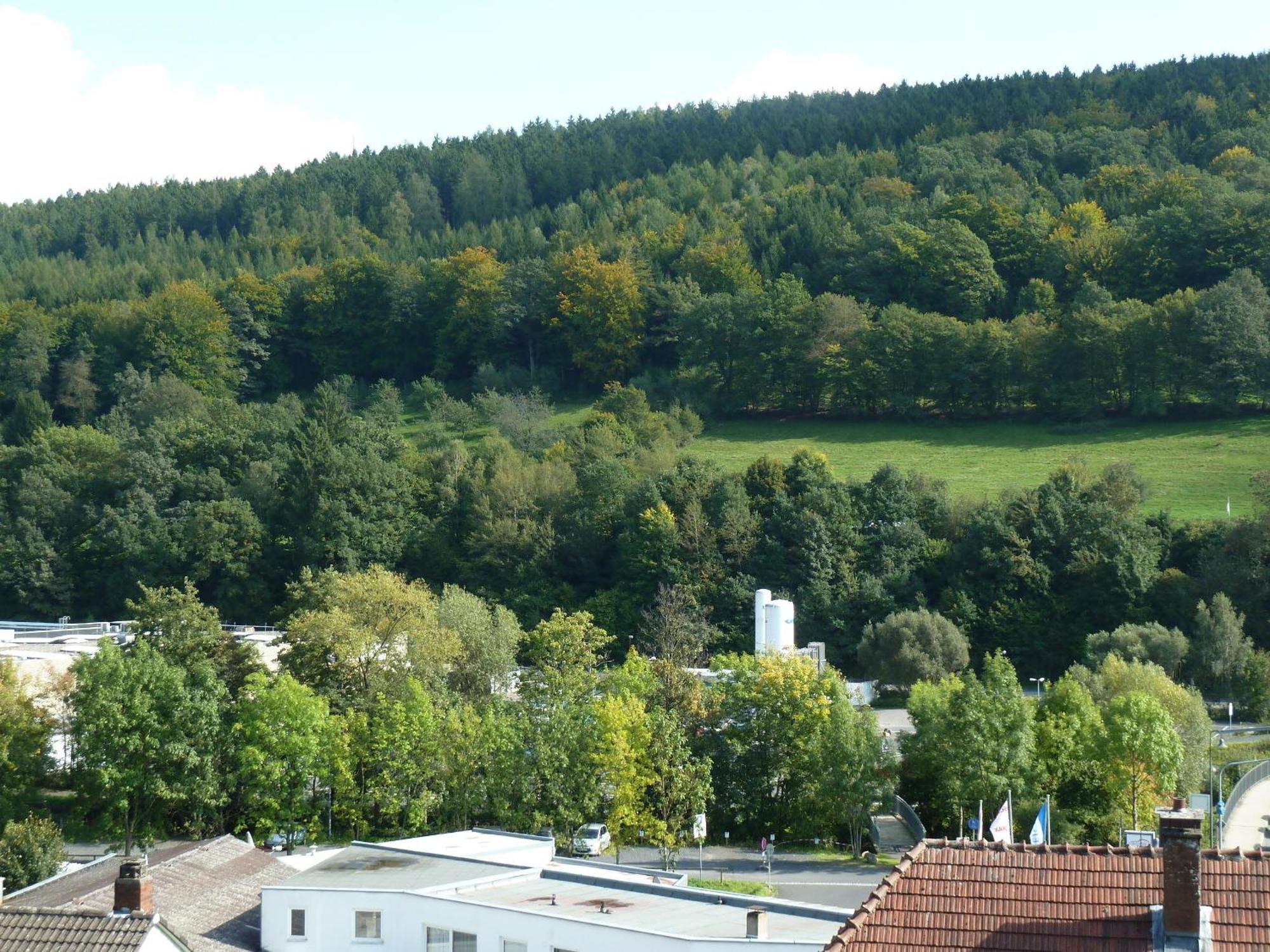 Lina'S Rhoen Bad Brückenau Exterior foto